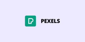 Pexels : la meilleure banque d’image libre de droit ?